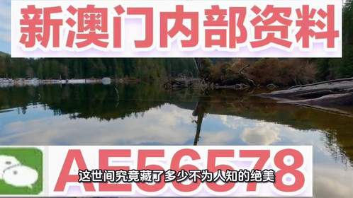 揭秘澳門(mén)精準(zhǔn)四不像，預(yù)測(cè)未來(lái)的趨勢(shì)與探索（2025展望），澳門(mén)精準(zhǔn)四不像揭秘，未來(lái)趨勢(shì)展望與探索（2025年預(yù)測(cè)）