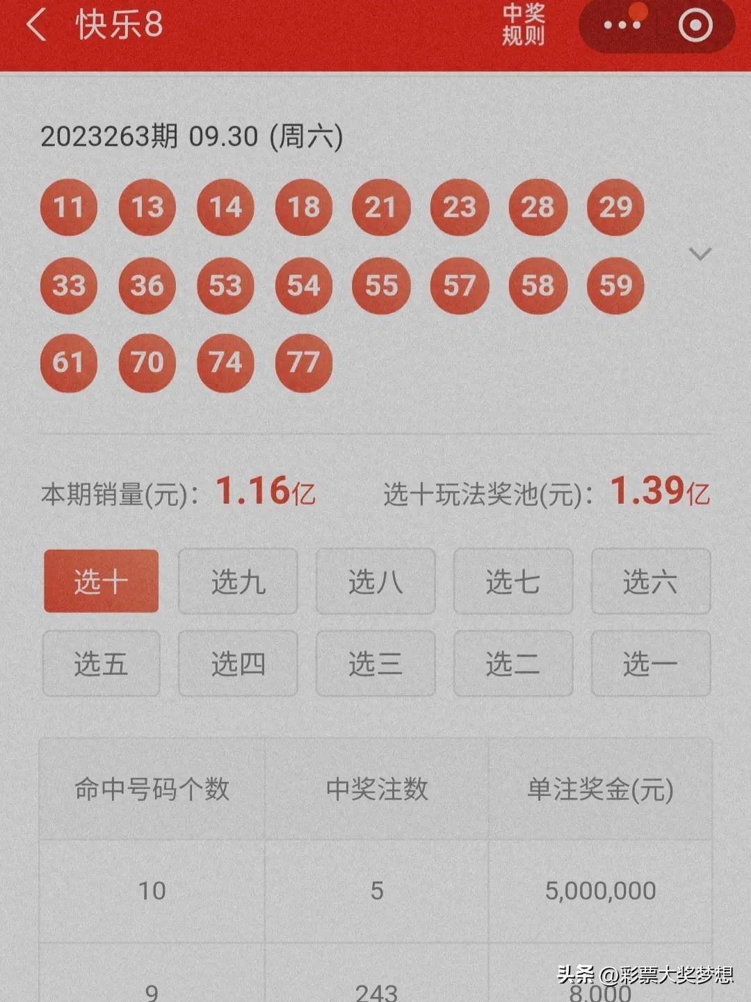 揭秘王中王四肖必中一肖中特，深度解析與SEO優(yōu)化策略，揭秘王中王四肖必中一肖中特，深度解析與SEO策略全攻略