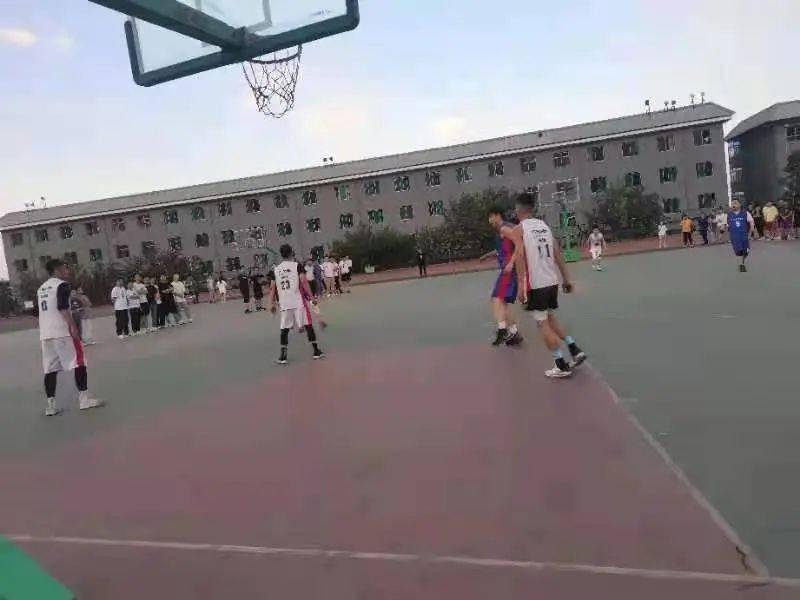 澳門二四六天下彩天天免費(fèi)大全——全面解析澳門彩票文化，澳門彩票文化全面解析，二四六天下彩免費(fèi)大全