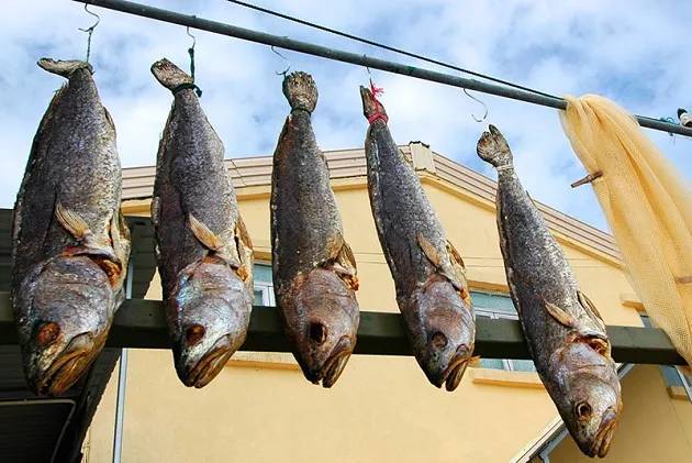 中國(guó)一級(jí)致癌魚排名及其健康風(fēng)險(xiǎn)分析，中國(guó)致癌魚排名及健康風(fēng)險(xiǎn)解析