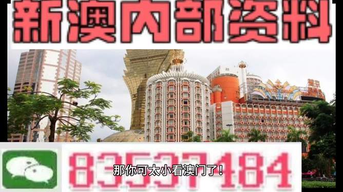 新澳新澳門正版資料，探索與解析，新澳新澳門正版資料深度解析與探索