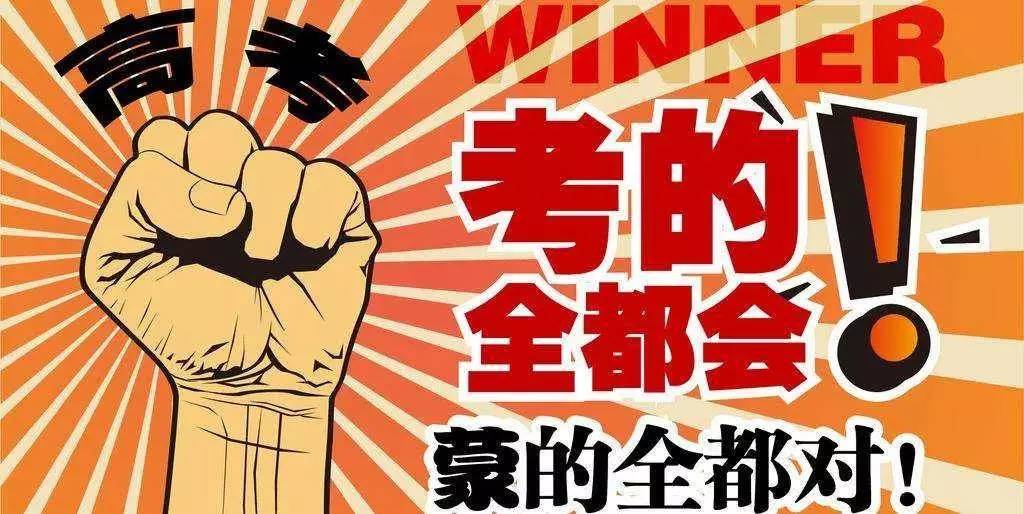 揭秘王中王與肖的不同之處，深度解析第123期，揭秘王中王與肖差異深度解析第123期，獨家對比與解讀