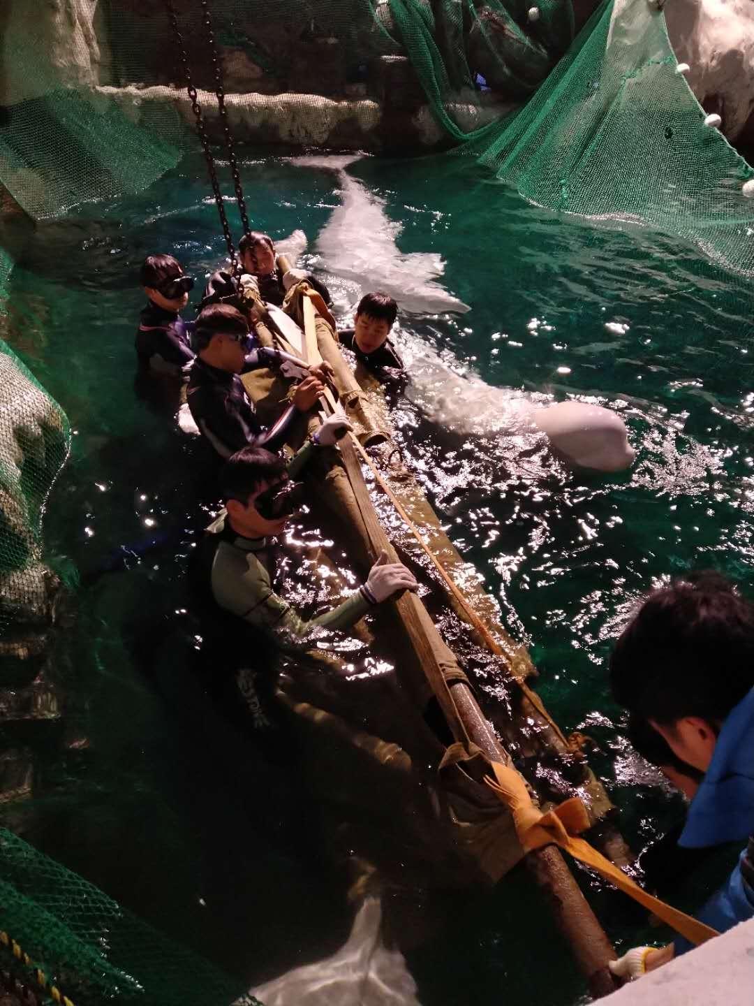 杭州極地海洋公園門票價(jià)格詳解，多少錢一張？，杭州極地海洋公園門票價(jià)格全解析，費(fèi)用究竟是多少？