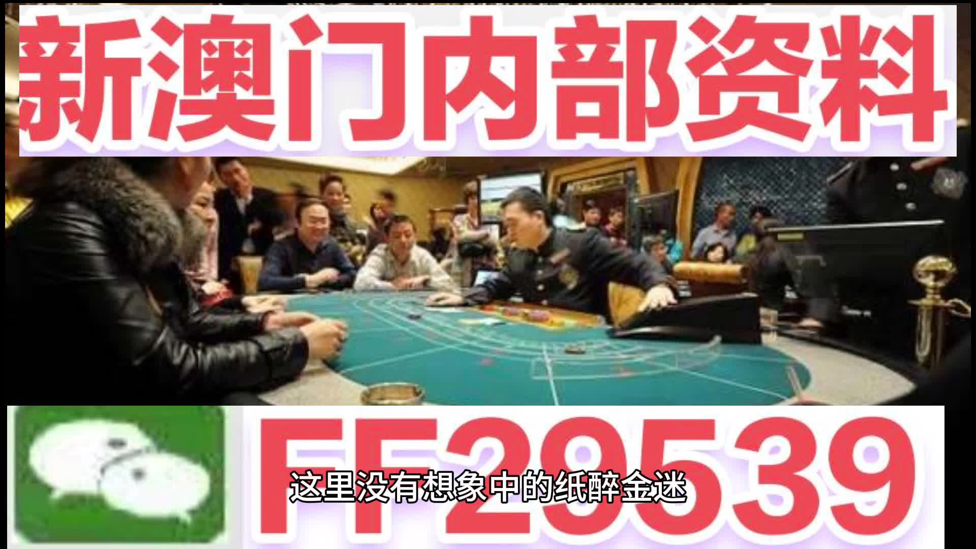 澳門特馬今晚開獎(jiǎng)香港——探索彩票背后的故事與未來展望，澳門特馬與香港彩票，背后的故事及未來展望