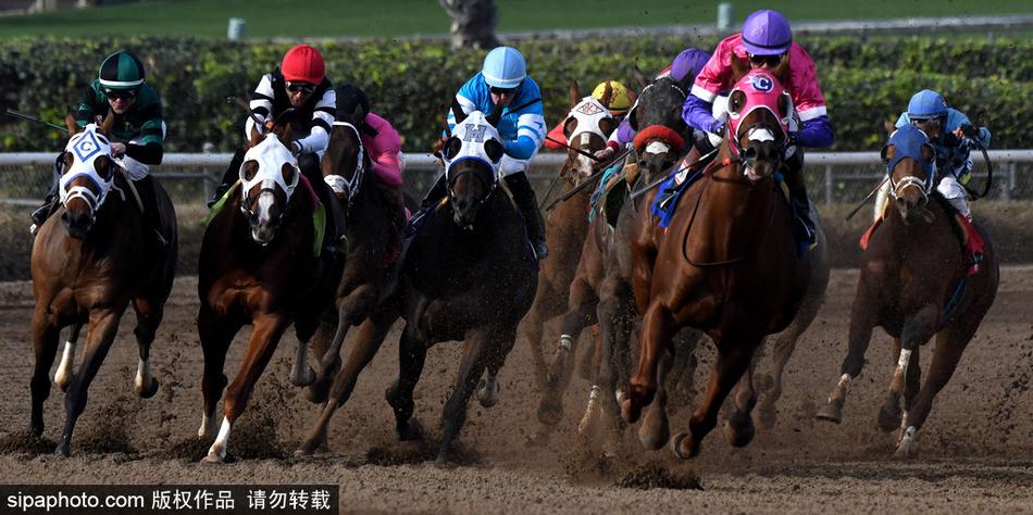 王中王馬開獎一肖中，揭秘彩票背后的秘密與策略，揭秘彩票背后的秘密與策略，王中王馬開獎一肖中的真相探討