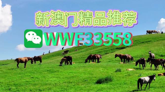 揭秘精準(zhǔn)預(yù)測(cè)一肖的秘密，解碼77777與88888的神秘?cái)?shù)字組合，揭秘精準(zhǔn)預(yù)測(cè)生肖的秘密，數(shù)字組合77777與88888的神秘解碼