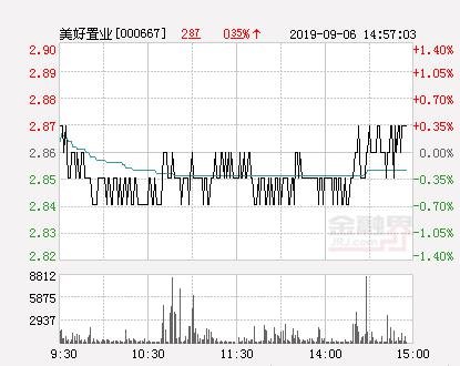探索美好置業(yè)股吧，揭秘代碼000667背后的故事，揭秘美好置業(yè)股吧，探尋代碼000667背后的故事