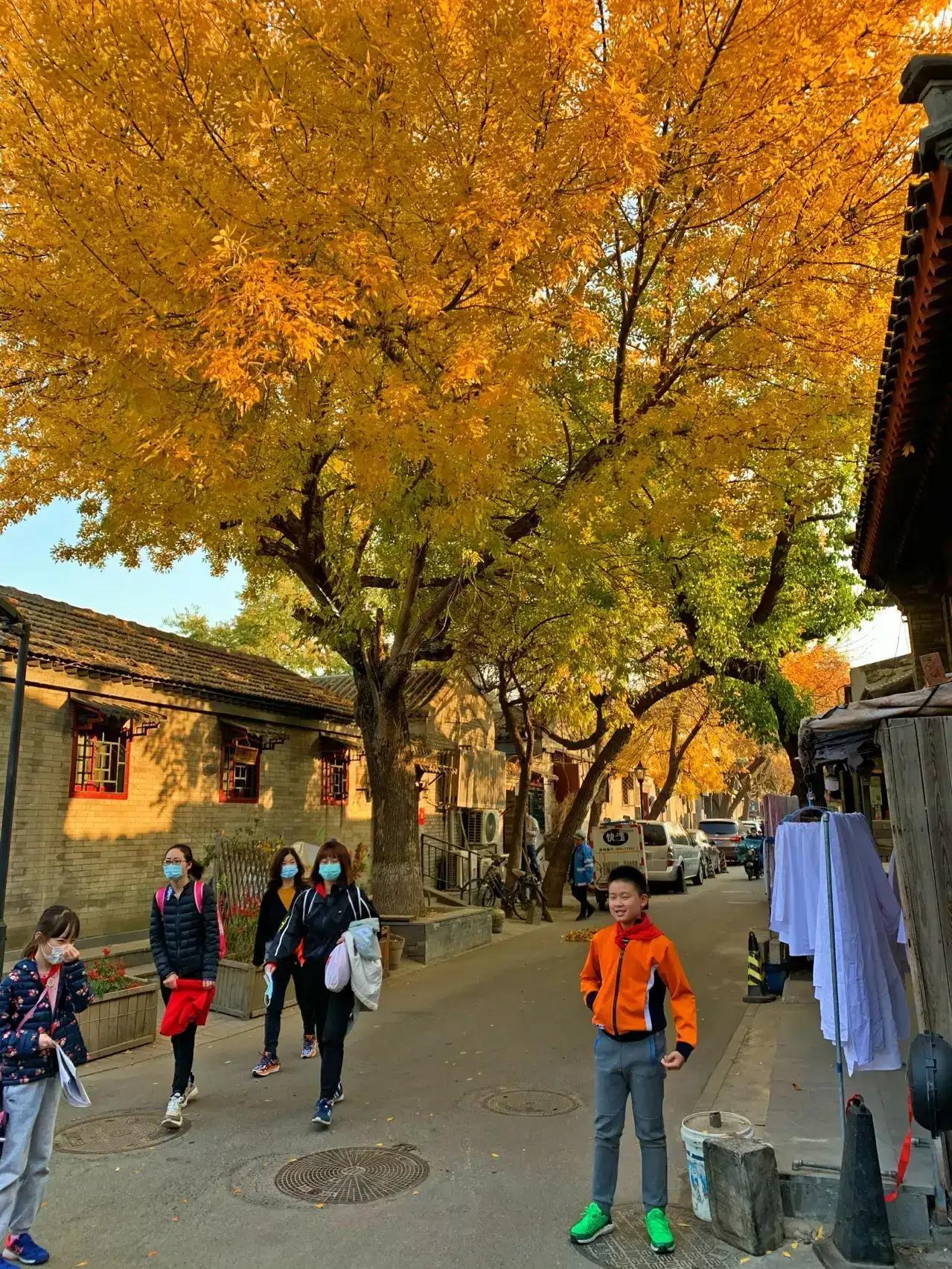 冬天北京一日游最佳景點(diǎn)攻略，北京冬季一日游最佳景點(diǎn)攻略