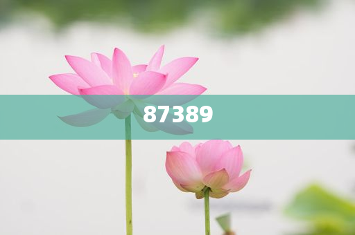 一肖是否包括特肖？深度解析生肖文化中的奧秘，深度解析生肖文化，一肖是否包含特肖？