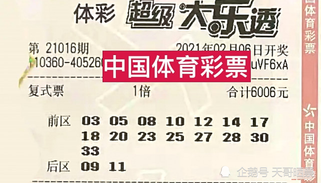 揭秘2025年新澳門(mén)開(kāi)獎(jiǎng)結(jié)果，開(kāi)獎(jiǎng)秘密與彩票文化深度解析，澳門(mén)彩票開(kāi)獎(jiǎng)結(jié)果深度解析，揭秘秘密與彩票文化展望2025年