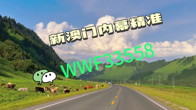 王中王一肖一馬中特一，探尋背后的秘密與獨(dú)特之處，探尋王中王一肖一馬中特一背后的獨(dú)特秘密
