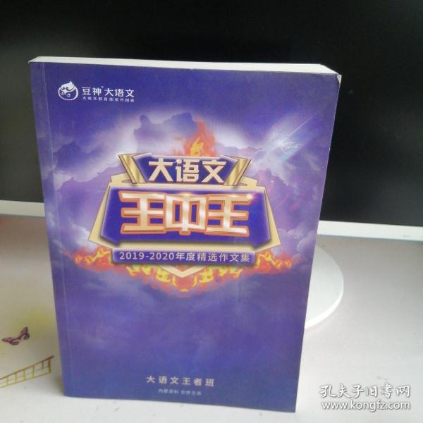 揭秘2019王中王資料一肖，傳奇背后的故事，揭秘傳奇背后的故事，王中王資料一肖探秘（2019版）