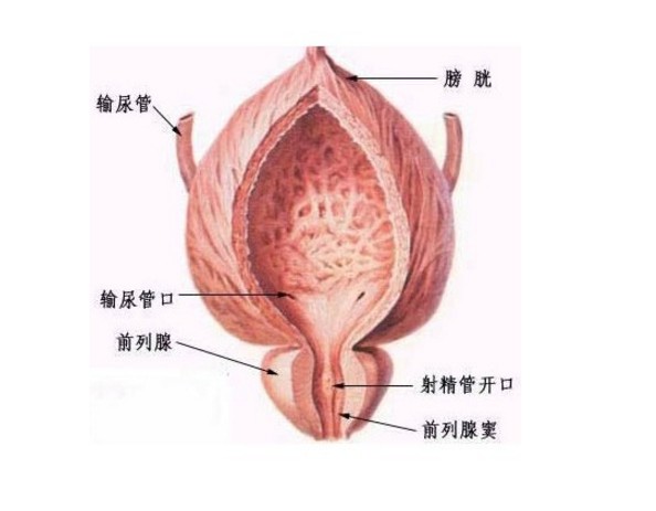 前列腺炎能自愈嗎？解析前列腺炎及其治療方式，解析前列腺炎，能否自愈與有效治療方式探討