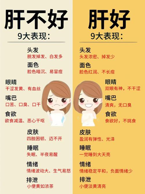 肝不好有哪些癥狀，全面解析肝臟健康警示信號，肝臟健康警示信號解析，癥狀表現(xiàn)與肝臟健康關系全面解讀
