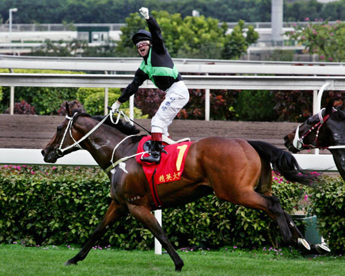 香港王中王一肖中特馬的奧秘與探索，香港王中王一肖中特馬的奧秘探索之旅