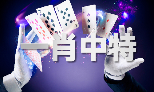新澳門歷史記錄查詢，探索澳門的歷史軌跡，澳門歷史軌跡探索，新澳門歷史記錄查詢