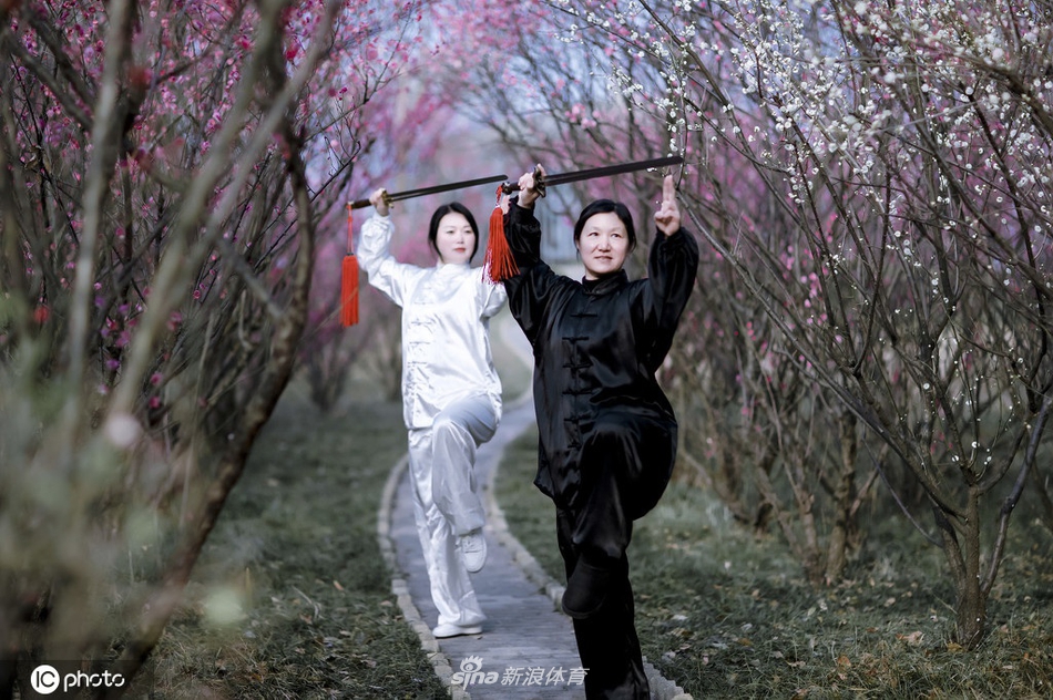 劉伯溫全年六肖選一肖，揭秘預(yù)測(cè)背后的神秘故事與真相，劉伯溫六肖選一揭秘預(yù)測(cè)真相與神秘故事