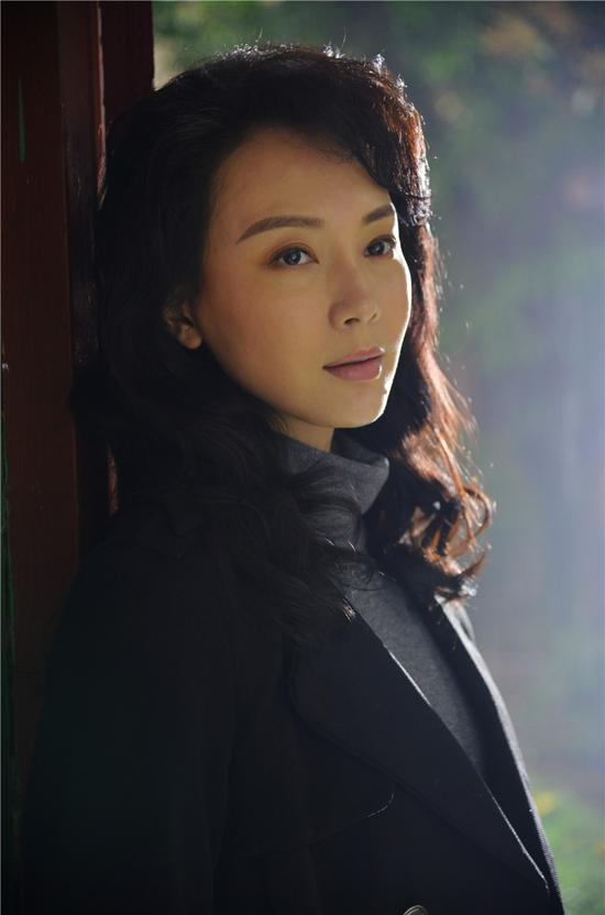 陳數(shù)演的電視劇，演技與魅力的展現(xiàn)，陳數(shù)演技展現(xiàn)，電視劇中的魅力與風(fēng)采