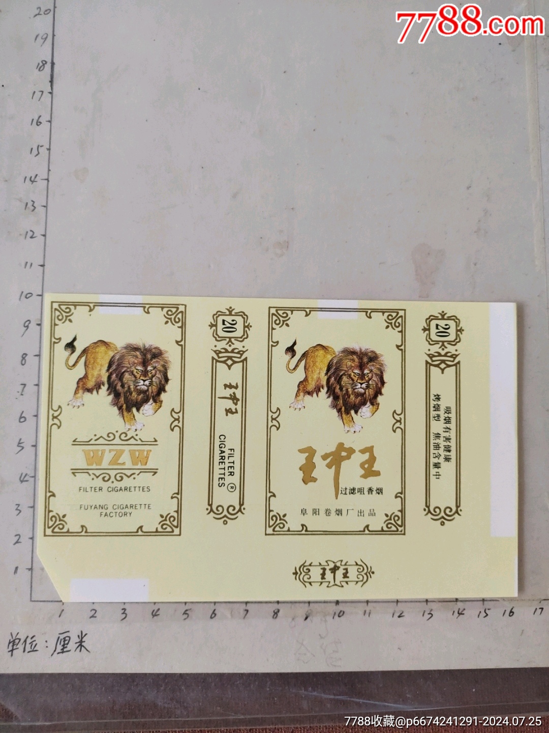 揭秘4788王中王一肖中特——探索獨特魅力的奧秘，揭秘王中王一肖中特獨特魅力的奧秘探索