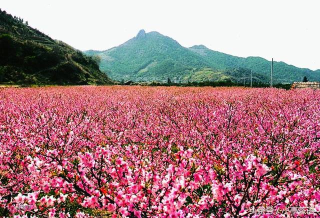 鄭州旅游攻略必去景點大全，鄭州旅游攻略，必游景點全攻略