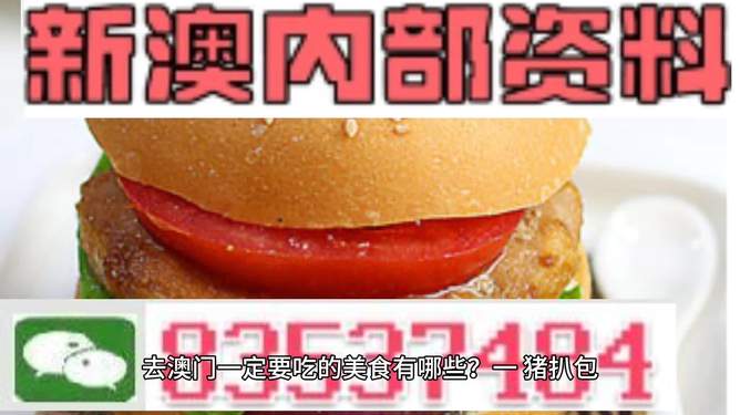 新門內(nèi)部資料精準(zhǔn)大全——探索未知領(lǐng)域的關(guān)鍵信息，新門內(nèi)部資料大全，揭秘未知領(lǐng)域的關(guān)鍵信息