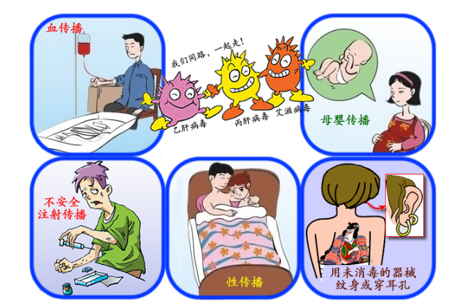 梅毒傳播途徑，深入了解與有效預(yù)防，梅毒傳播途徑詳解，深入了解與有效預(yù)防措施