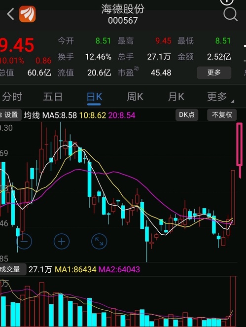 海德股份股票股吧，深度解析與前景展望，海德股份深度解析及前景展望，股票股吧探討