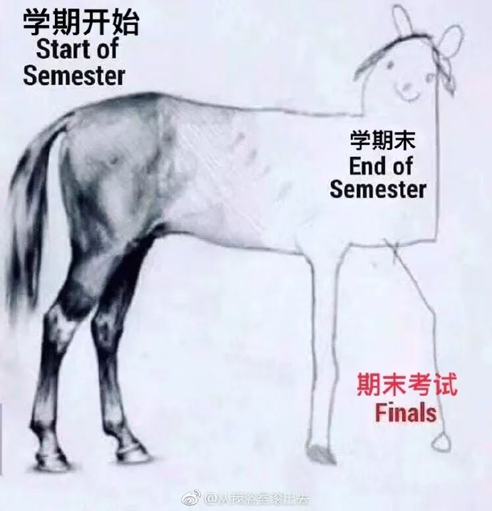 四不像一肖圖王中王是誰——揭秘神秘人物背景，揭秘四不像一肖圖王中王神秘人物背景