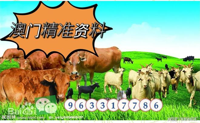 今晚特馬生肖必開資料，揭秘生肖運勢與預測秘密，揭秘生肖運勢預測，今晚特馬生肖必開資料獨家解析