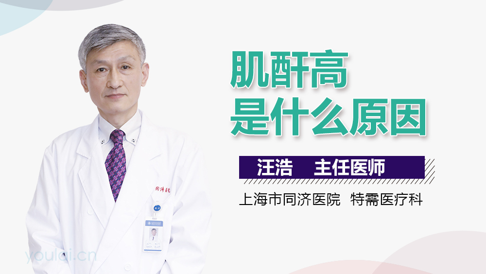 肌酐高是什么原因？深入了解背后的因素，肌酐高背后的原因，深入了解與解析