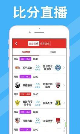 新澳門彩歷史開獎記錄近30期，回顧與解析，新澳門彩近30期開獎記錄回顧與解析