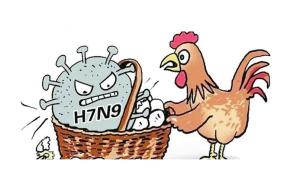 揭秘H7N9病毒，了解它的起源、特性與影響，H7N9病毒揭秘，起源、特性與影響全解析