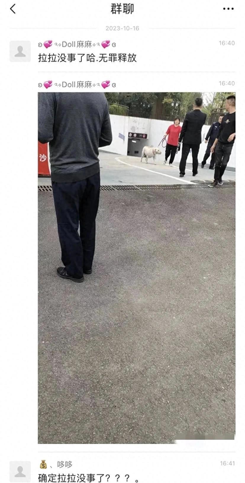 狗咬了多久過安全期，深入了解與應對方法，狗咬傷后的安全期及應對方法詳解