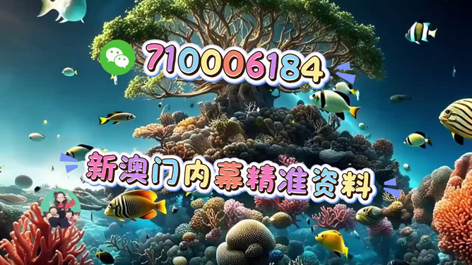 澳門正版生肖圖，探索未來的精準預(yù)測與生肖運勢展望（2025年），澳門正版生肖圖揭秘，未來生肖運勢展望與精準預(yù)測（2025年）