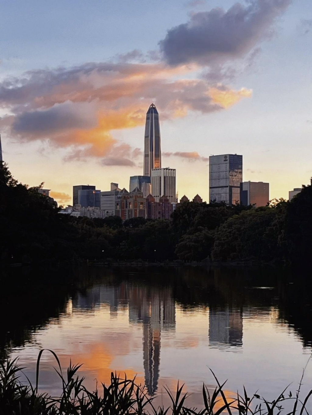 深圳好玩的地方和景點——探索這座城市的魅力，深圳魅力探索，城市景點與玩樂指南