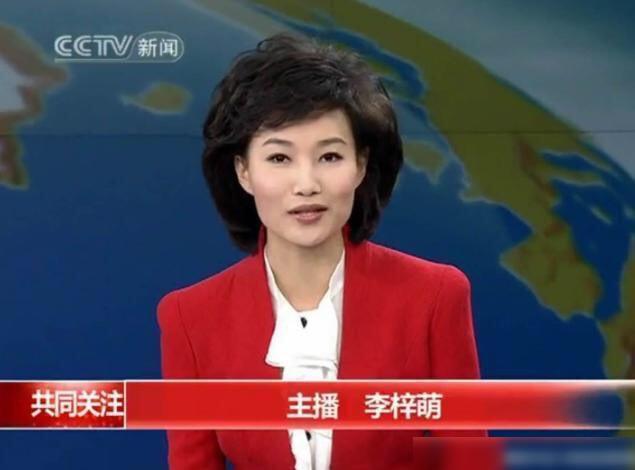 韓國新聞主持人，閃耀的媒體之星，韓國新聞主持人，媒體界的璀璨明星