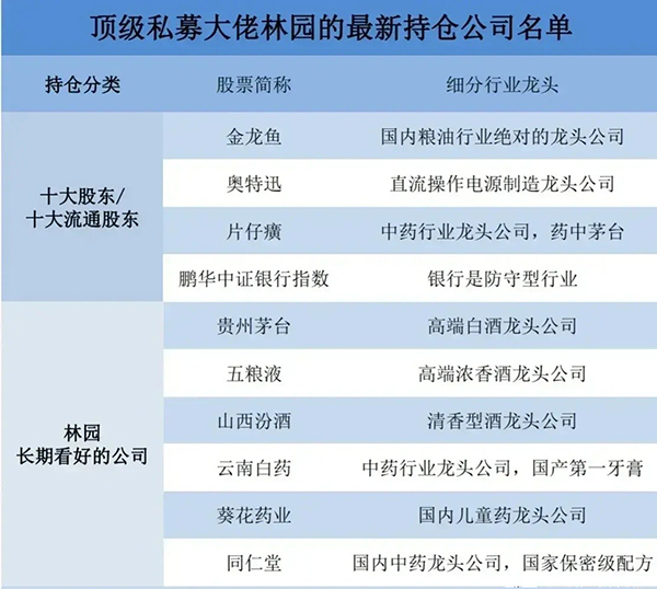 林園最新前十大重倉(cāng)股票，深度解析與前景展望，林園前十大重倉(cāng)股票深度解析及前景展望