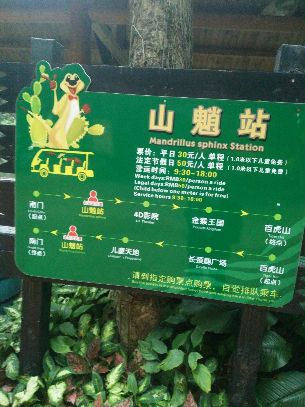 廣州長隆動物園門票攻略，一站式解決你的購票疑問，廣州長隆動物園門票攻略，購票疑問一站式解決