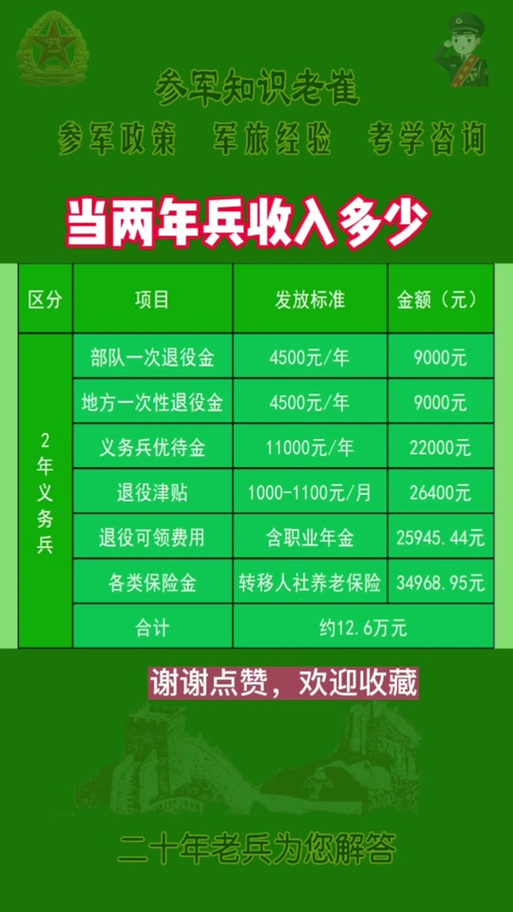 關于義務兵兩年能拿多少錢的全面解析，全面解析，義務兵兩年收入概覽