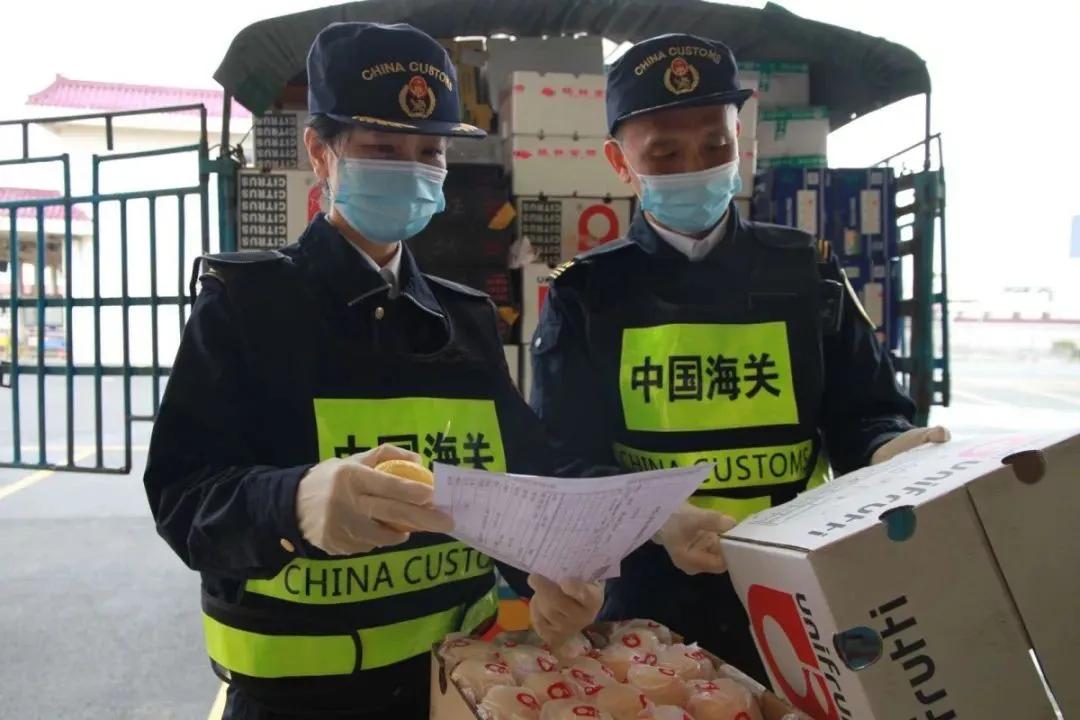 澳門彩票開獎結(jié)果快速揭曉，探索最新開獎動態(tài)與中獎秘籍，澳門彩票最新開獎結(jié)果及中獎秘籍探索