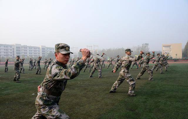 解析軍士長(zhǎng)為何不升軍官，背后的原因與考量，解析軍士長(zhǎng)晉升停滯背后的原因與考量，為何未能成為軍官？