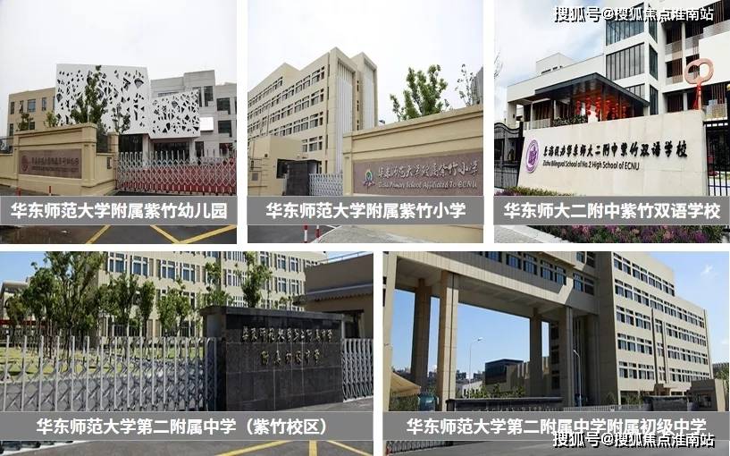 新奧門特資料49圖庫，深度解析與探索，新奧門特資料49圖庫，深度探索與解析