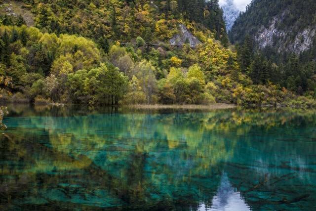 四川九寨溝景區(qū)簡介——自然之美的瑰寶，四川九寨溝景區(qū)，自然之美的瑰寶簡介