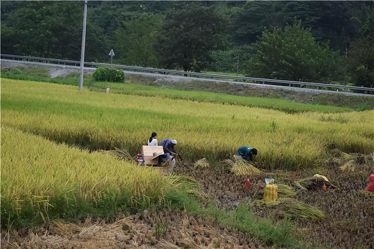 寶寶瘦小不吸收發(fā)育遲緩，原因、對策與關(guān)注重點，寶寶瘦小、發(fā)育遲緩，原因、對策及關(guān)注重點