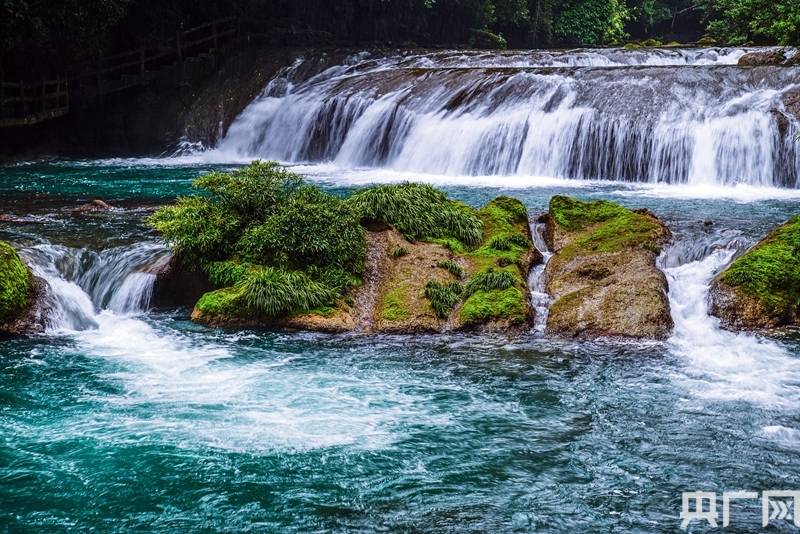 探索神秘的管家婆四肖四碼，車(chē)連的秘密與魅力，揭秘管家婆四肖四碼，車(chē)連背后的神秘魅力
