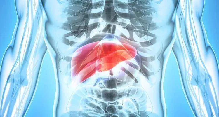 肝不好有什么癥狀，全面解析與關(guān)注，全面解析關(guān)注，肝臟不良癥狀的表現(xiàn)