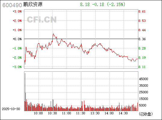 鵬欣資源股吧——探索600490的魅力與價值，鵬欣資源股吧，探索股票600490的魅力與價值