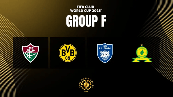 2025新澳正版資料精準(zhǔn)解析與預(yù)測(cè)，2025新澳正版資料精準(zhǔn)解析與趨勢(shì)預(yù)測(cè)