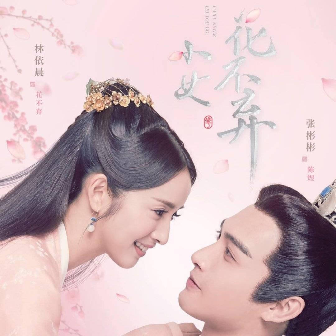 臺(tái)灣偶像劇女演員大全，璀璨星輝閃耀熒屏，臺(tái)灣偶像劇女演員璀璨星輝閃耀熒屏風(fēng)采全覽