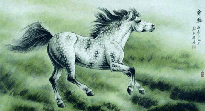 千里馬一肖王中王，探尋卓越與領(lǐng)袖的完美結(jié)合，千里馬一肖王中王，卓越與領(lǐng)袖的完美結(jié)合探尋